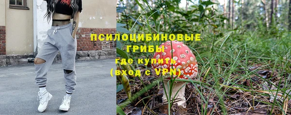 трава Армянск