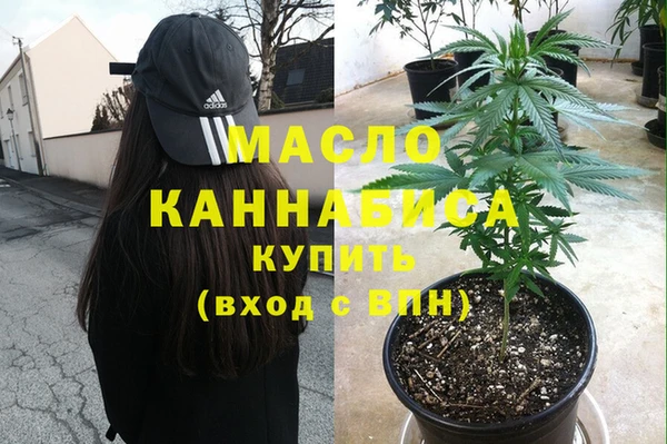 трава Аркадак
