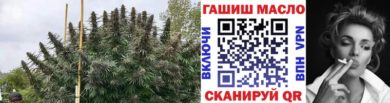 ТГК гашишное масло Колпашево